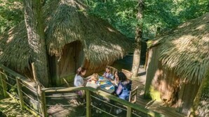 Una construcción con techo de paja, un muelle de madera y una escalera que lleva a él.