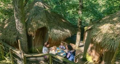 Functional chalet - 6 guests