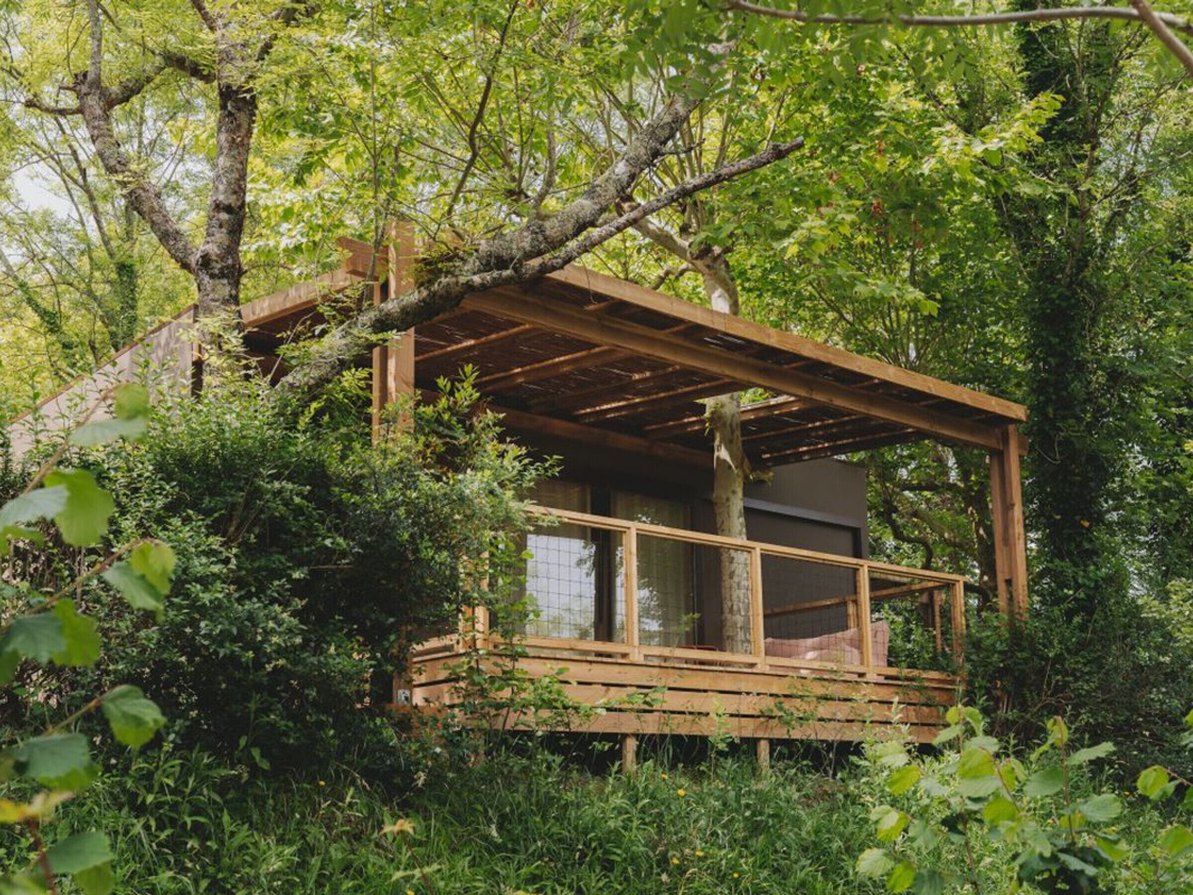A wooden cabin with a balcony, surrounded by dense greenery.
