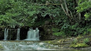 A waterfall in a forested area.