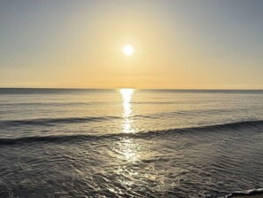 Beach - Bungalow with AC, pets allowed - 4 guests (Linguizzetta)