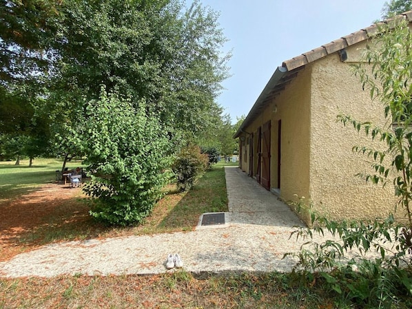 A building with a paved walkway, a small tree, and a grassy area.