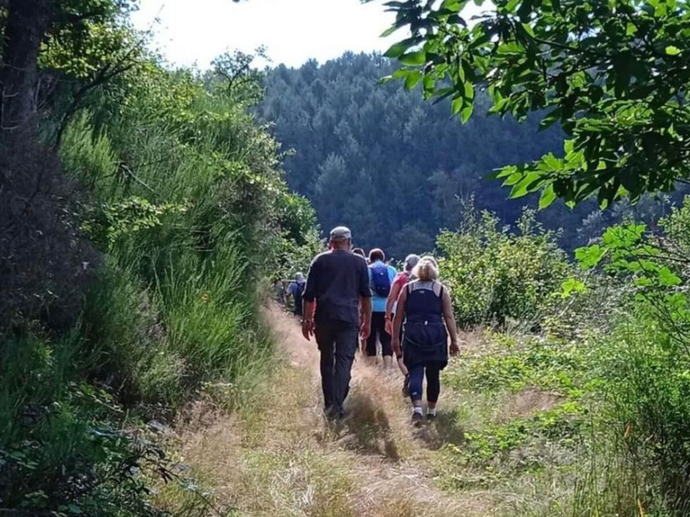 Un grupo de personas caminando por un sendero estrecho rodeado de vegetación.