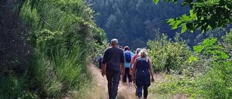 Un grupo de personas caminando por un sendero estrecho rodeado de vegetación.