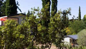 Une maison dont le portail du garage est bien visible, entourée d’une végétation luxuriante et de grands arbres.