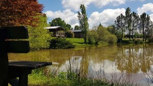 A serene lakeside setting with a wooden bench, a house, and lush greenery.