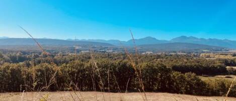 A landscape with a clear sky, distant mountains, and a field with sparse vegetation.