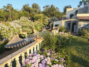 Property grounds - Mobile home with AC - 6 guests (Propriano)