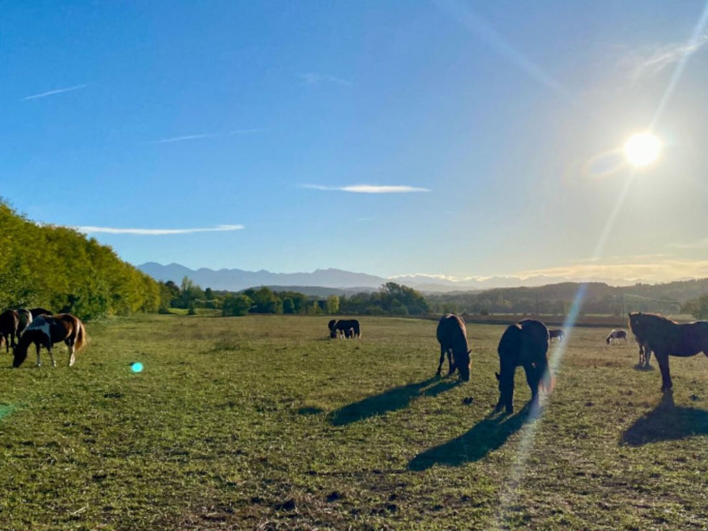 A wide-open field with a clear sky and distant mountains.