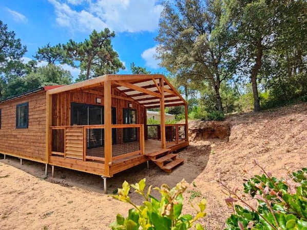 A wooden cabin with a porch and windows, surrounded by trees and a dirt area.