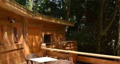 Chalet with disabled access - 6 guests