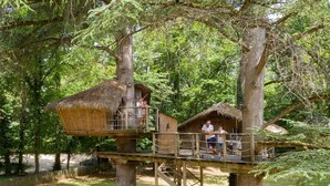 Treehouses with wooden platforms and rope bridges, surrounded by dense forest. - Chalet with disabled access - 6 guests (Magné)