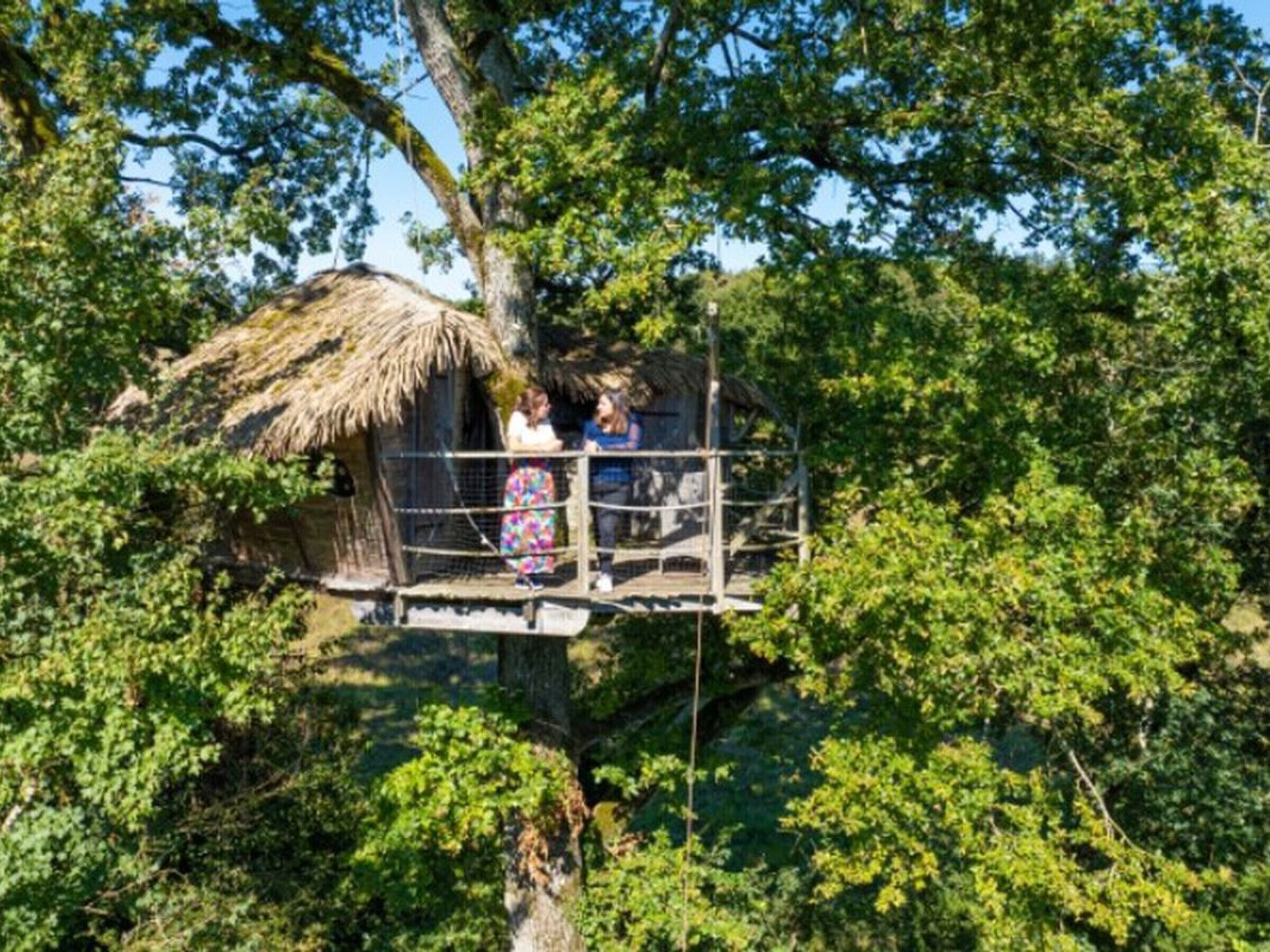 Une cabane perchée dans un arbre, avec un toit de chaume, entourée d’un feuillage dense.