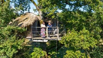 Une cabane perchée dans un arbre, avec un toit de chaume, entourée d’un feuillage dense.