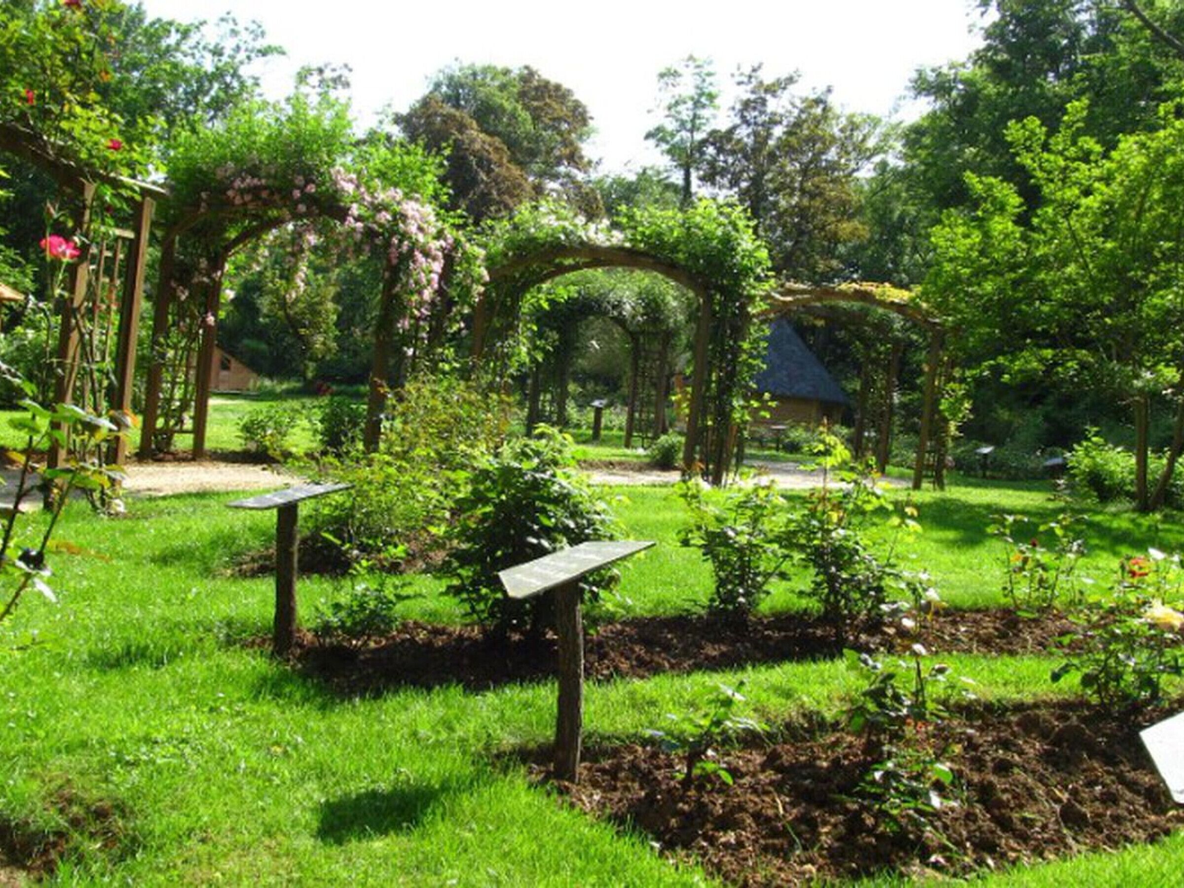 A garden with a wooden pergola, solar panels, and a thatched-roof structure.