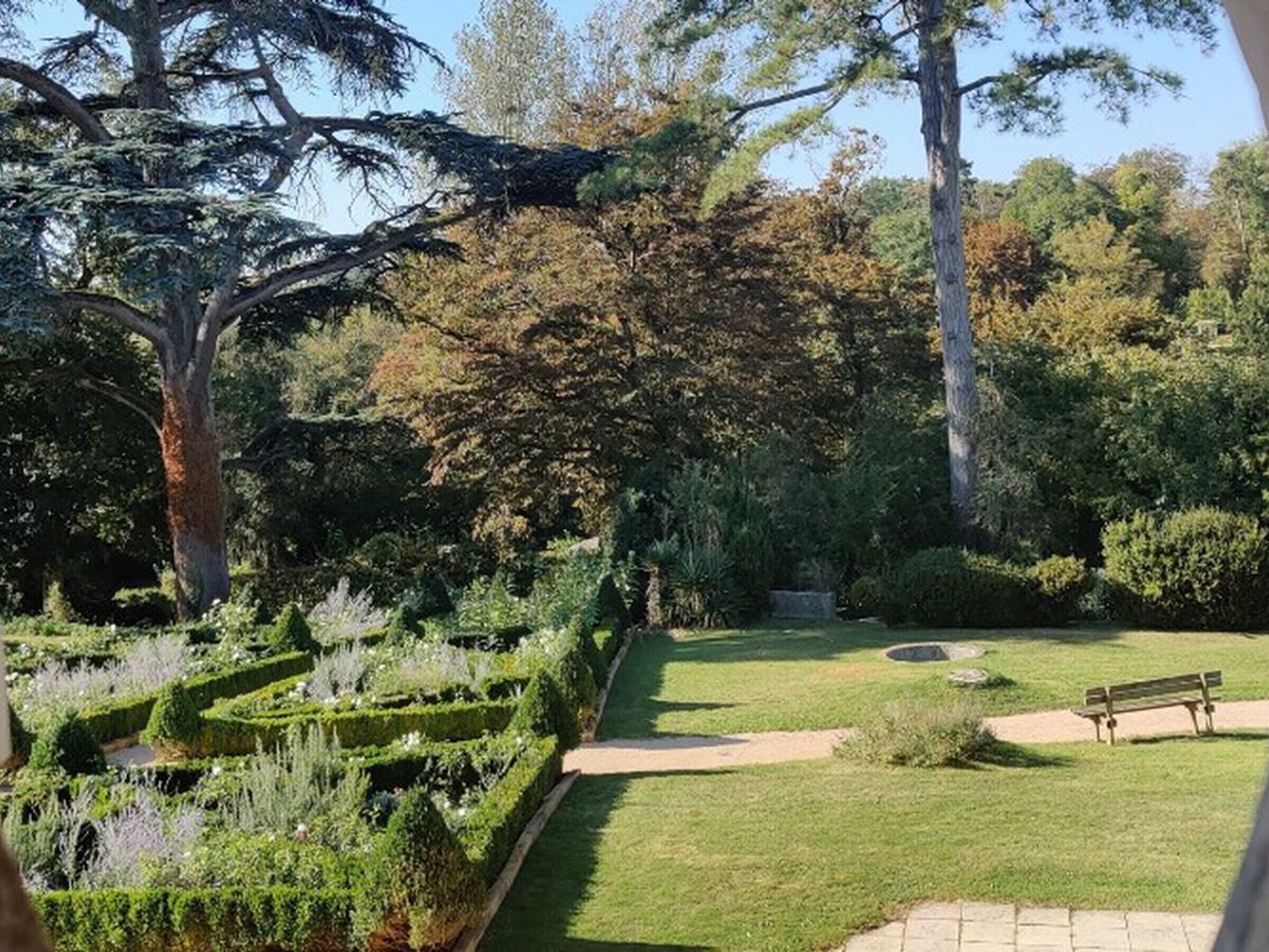 A garden with a pathway, a bench, and various plants.