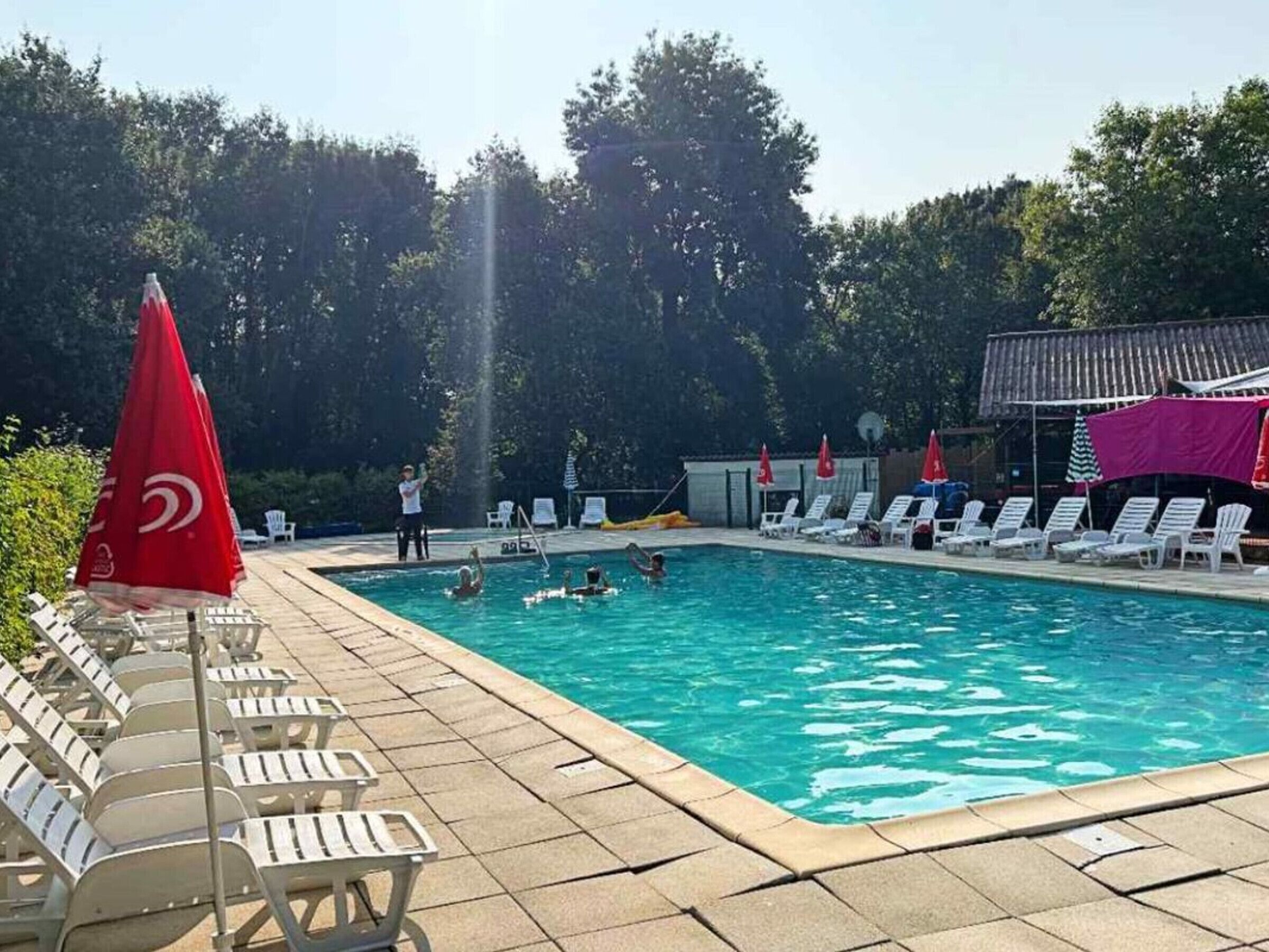 Ein Schwimmbecken mit Liegestühlen und Sonnenschirmen, umgeben von Bäumen.