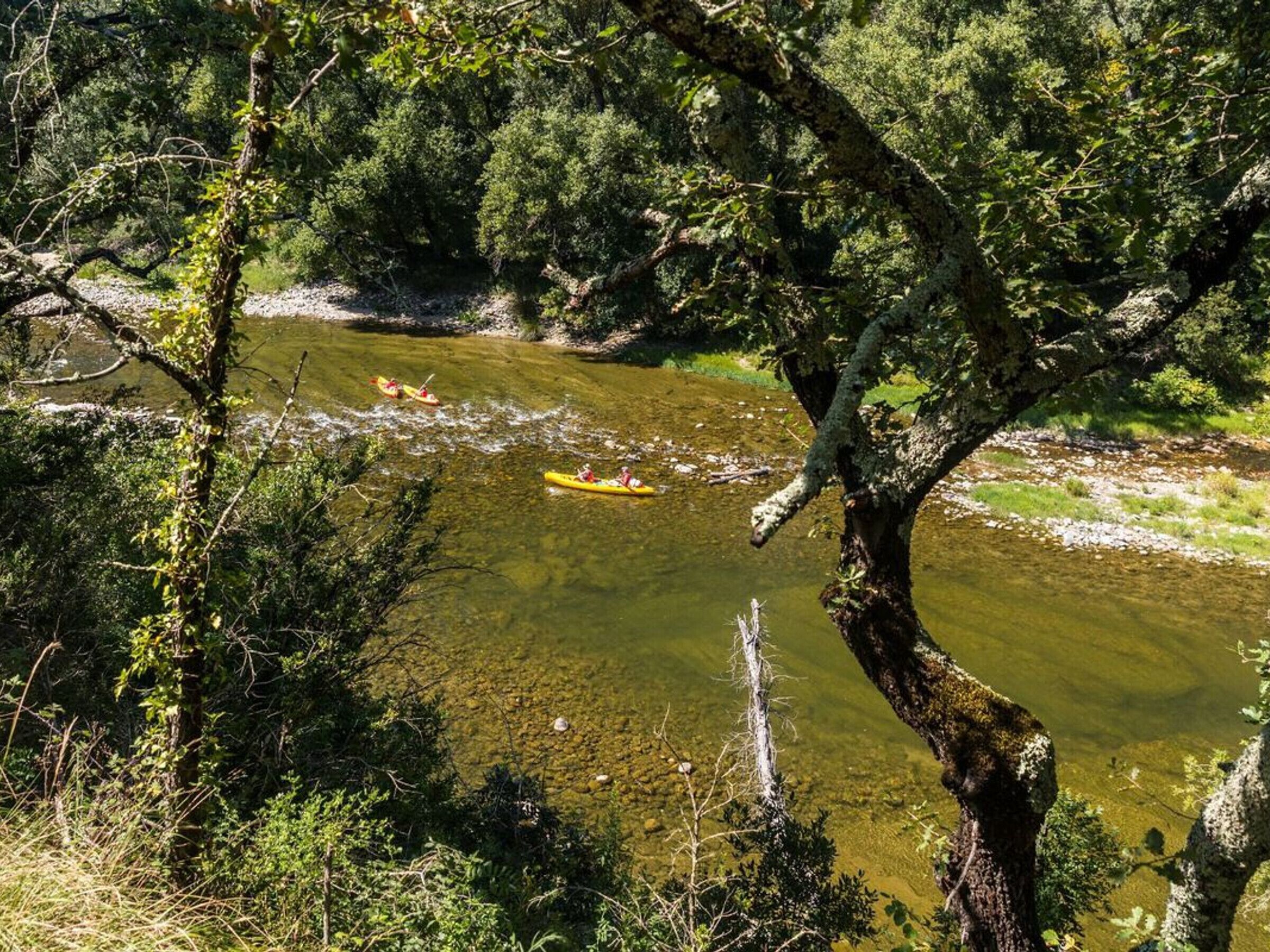 Un fiume con kayak, circondato da una vegetazione fitta.