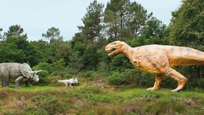 Eine Dinosaurier-Ausstellung mit einem großen Tyrannosaurus Rex und einem kleineren Triceratops in einer naturgetreuen Umgebung.