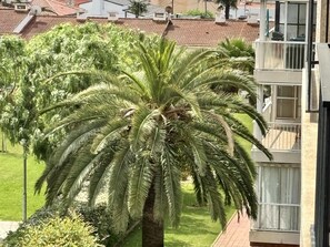 A residential area with a large palm tree in the foreground and a building with a balcony in the background. - 3-room Apt in Cambrils, 6 pers, terrace, parking (Cambrils)