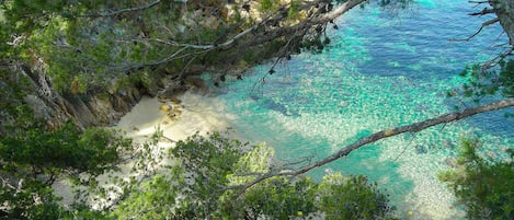 In Strandnähe