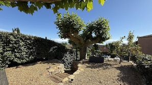 A garden with a large tree, gravel ground, and a stone wall. - 2-bedroom house with garden and sea view in La Croix-Valmer (La Croix-Valmer)