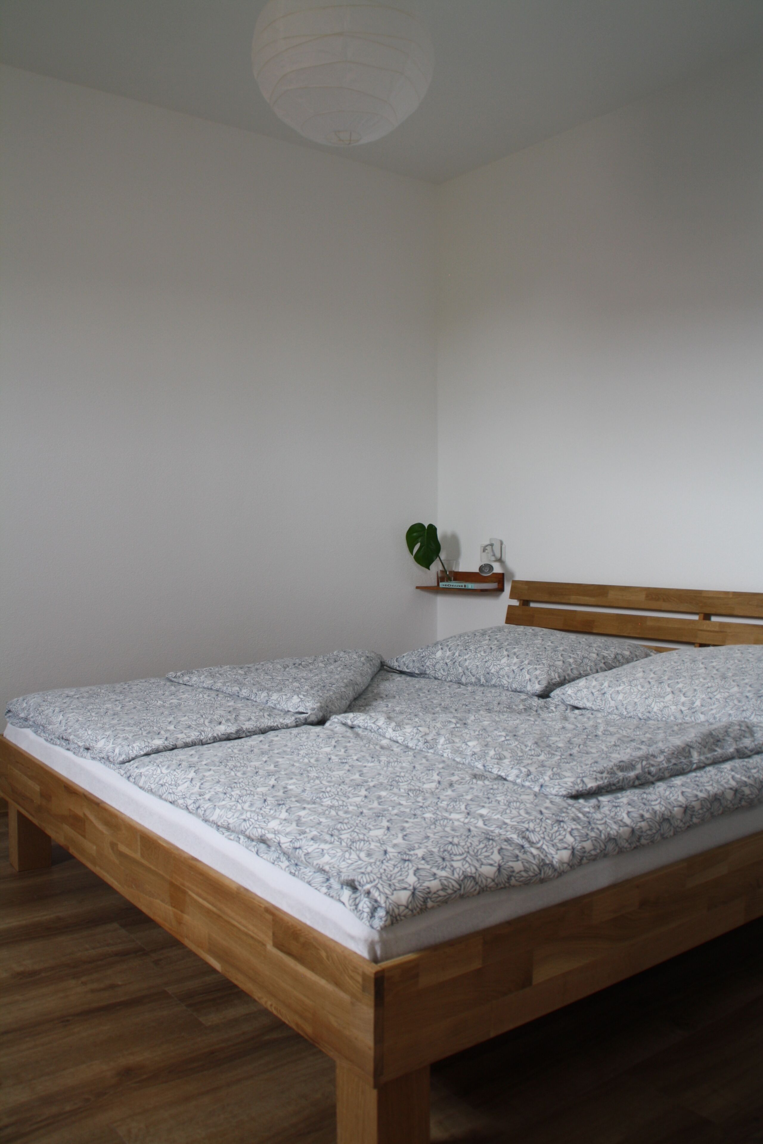 Classic-Apartment, 1 Schlafzimmer, Haustiere gestattet, Gartenblick