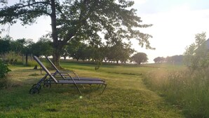 A grassy area with a lounge chair and a large tree. - Ferienhof Steindörfel (Hochkirch)
