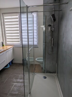 Shower, hair dryer, soap, toilet paper