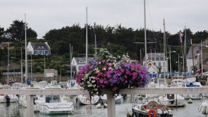 Un puerto deportivo con barcos amarrados, una cesta de flores y casas al fondo.