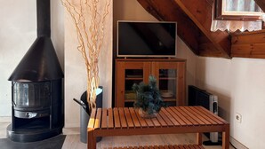 Une pièce chaleureuse avec un poêle à bois, un téléviseur posé sur un meuble en bois et une petite table agrémentée d’une plante décorative.
