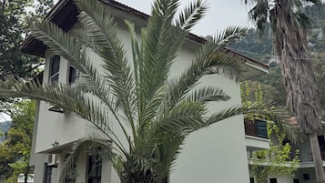 Khuôn viên nơi lưu trú