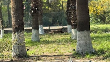 Khuôn viên nơi lưu trú