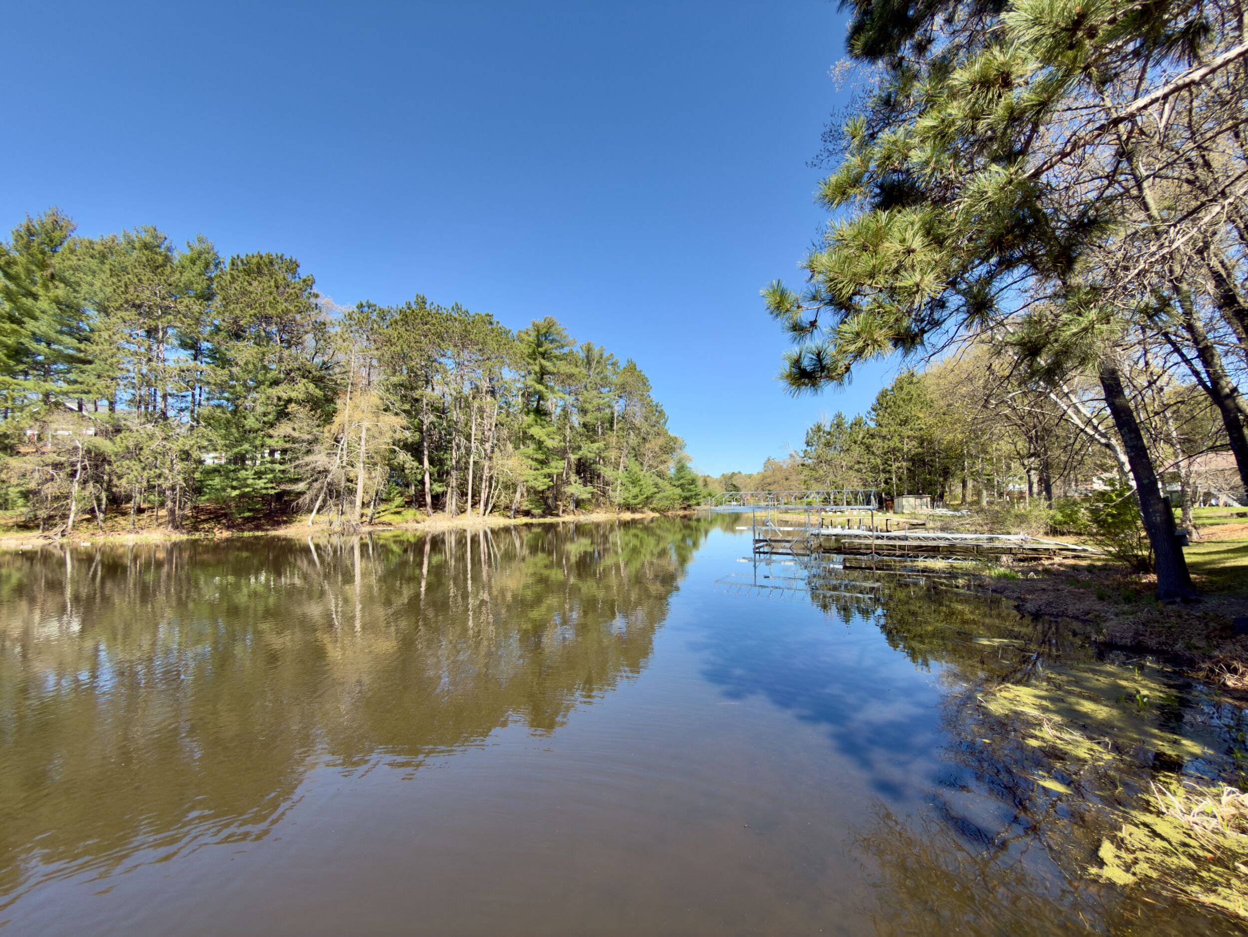 Ein ruhiger See, umgeben von dichtem Wald und blauem Himmel.