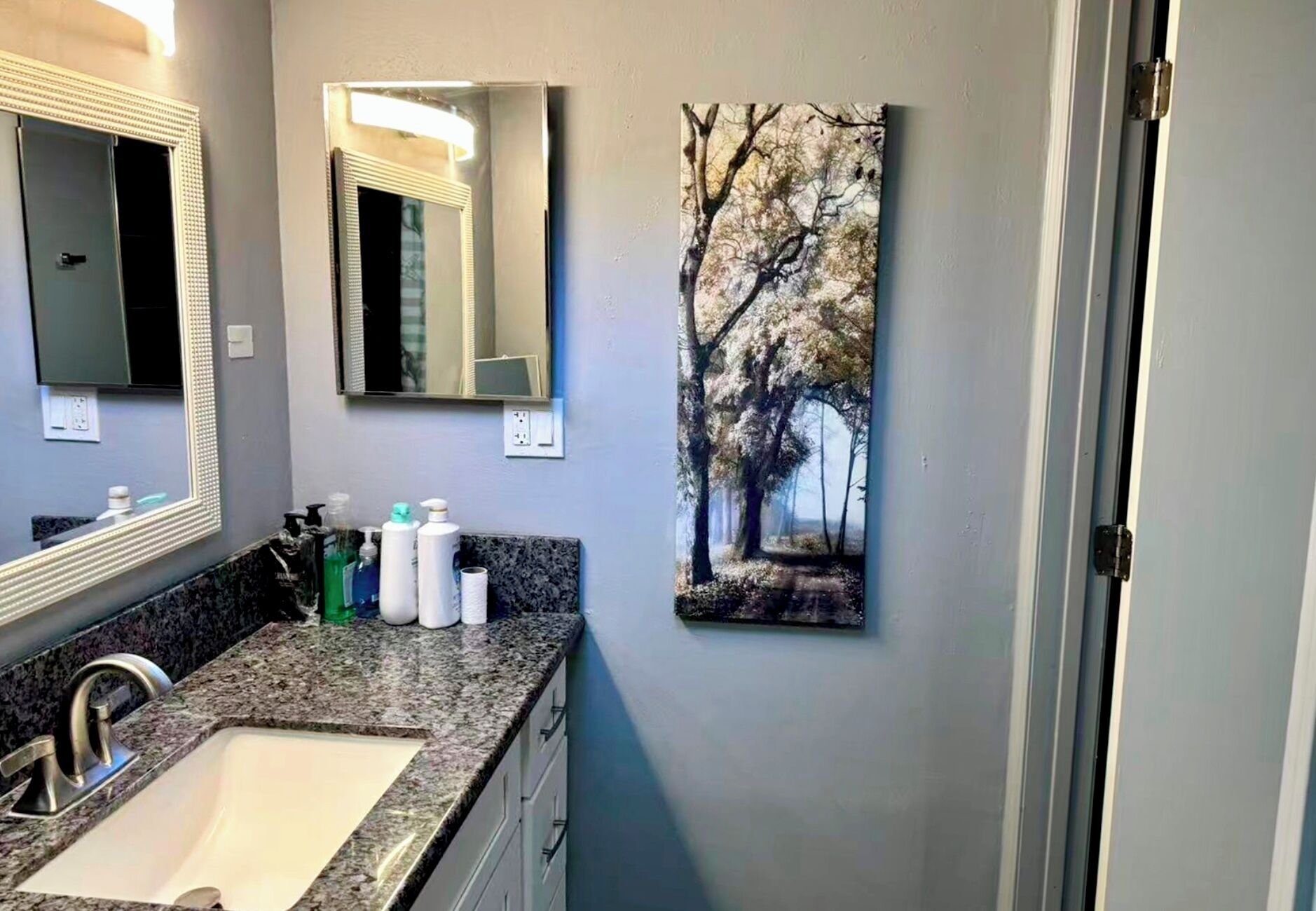A bathroom with a granite countertop, a sink, a mirror, and a framed picture of trees.