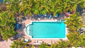 Luftaufnahme eines rechteckigen Schwimmbeckens, umgeben von Palmen und Liegestühlen.