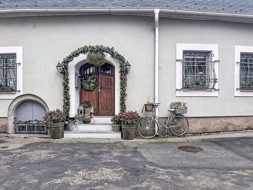 Nice apartment for 3 people with WIFI and pets allowed