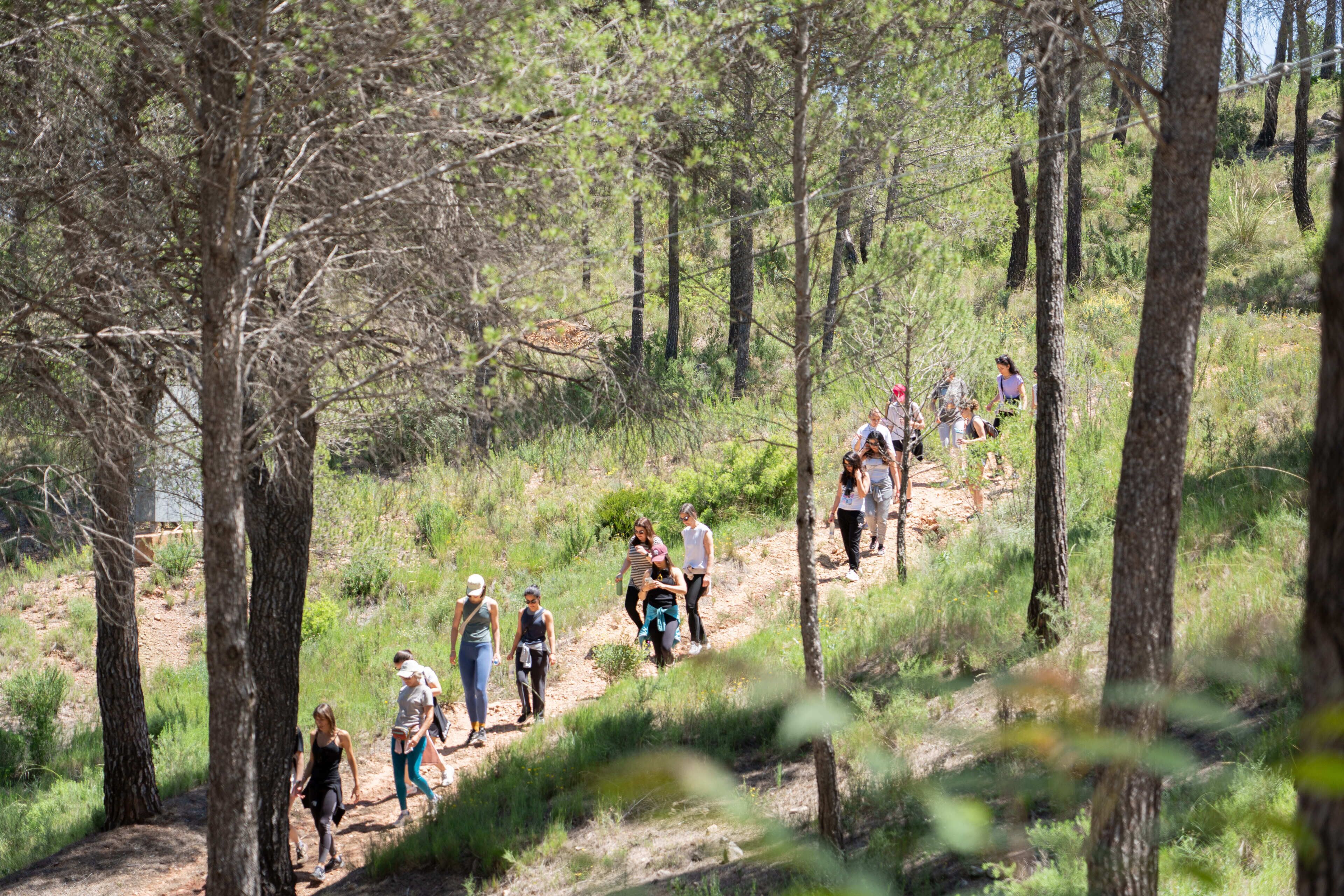 Un grupo de personas caminando por un sendero en el bosque.