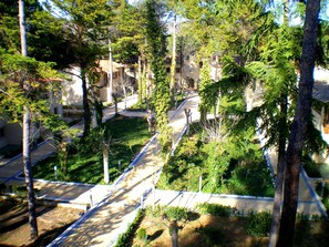 Property grounds - Progevita (Cofrentes)