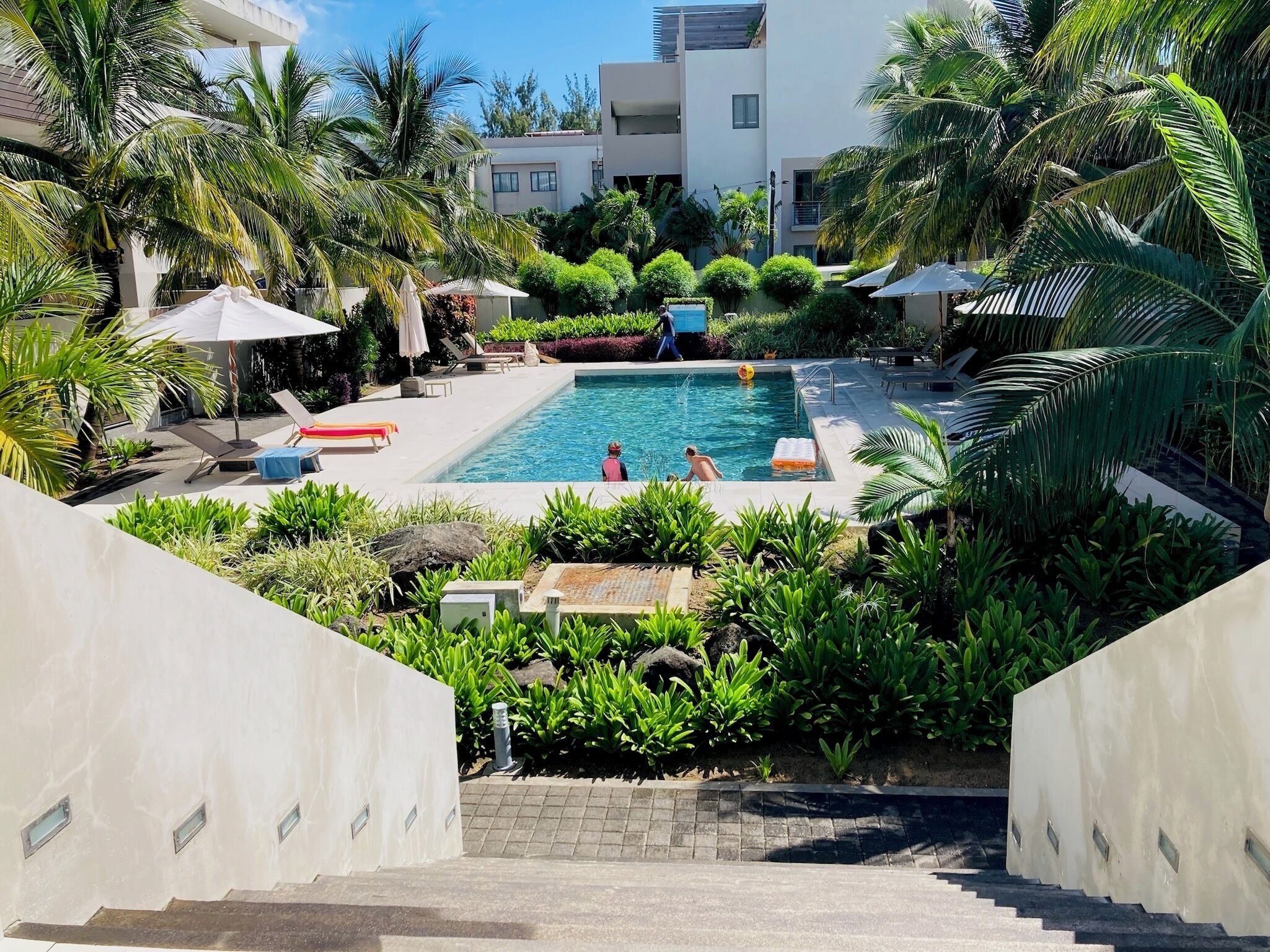 A swimming pool surrounded by palm trees and lounge chairs, with a view of modern buildings in the background.