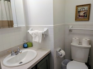 Bathroom - STUDIO 21 DOWNTOWN DENVER EXCELLENT LOCATION, MOUNTAIN VIEW, HEATED POOL AND GYM (Denver)