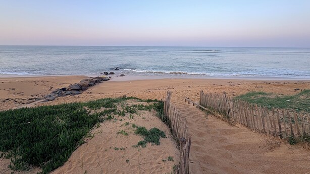 Ein Strand mit einer Holzbrüstung, einem Sandweg und grüner Vegetation.