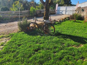 Terrain de l’hébergement 