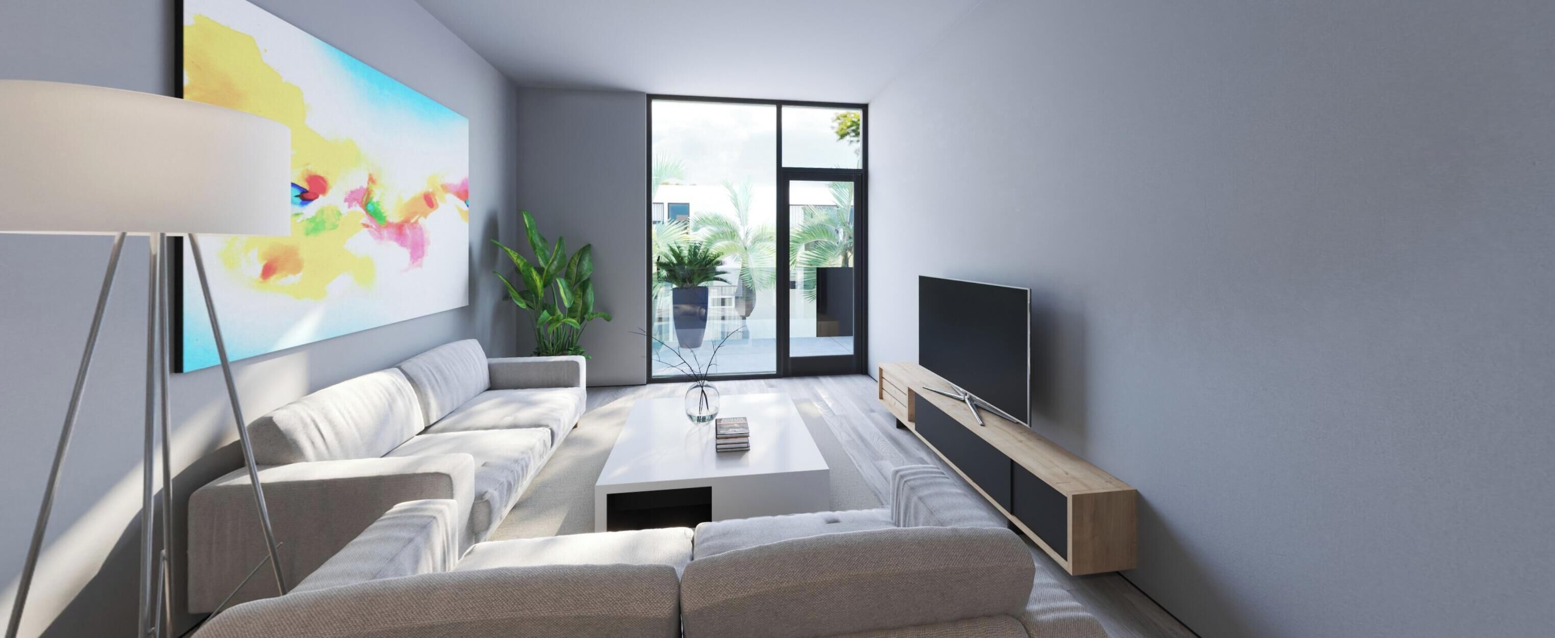 TV