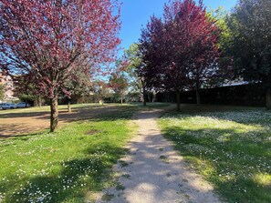 A pathway through a park with trees and grass. - Luigina's Home • Direct Metro to the Vatican, Terrace & Parking (Roma)