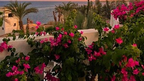Een uitzicht op de kust met een zonsondergang, palmbomen en bougainvillea-bloemen.