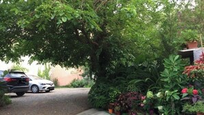 Une allée de gravier menant à une voiture garée, entourée d’une végétation luxuriante et de plantes en pot.