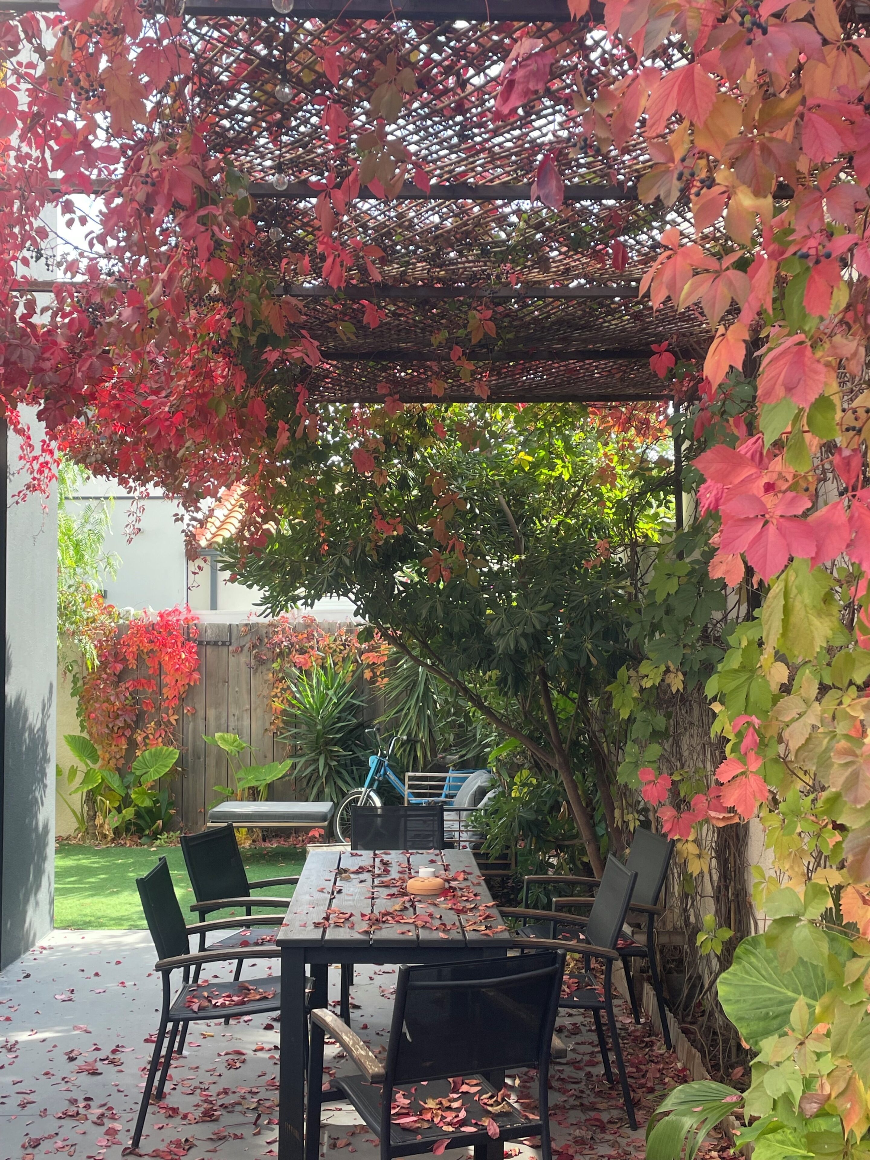 En udendørs patio med et bord og stole, omgivet af vegetation og et træhegn.