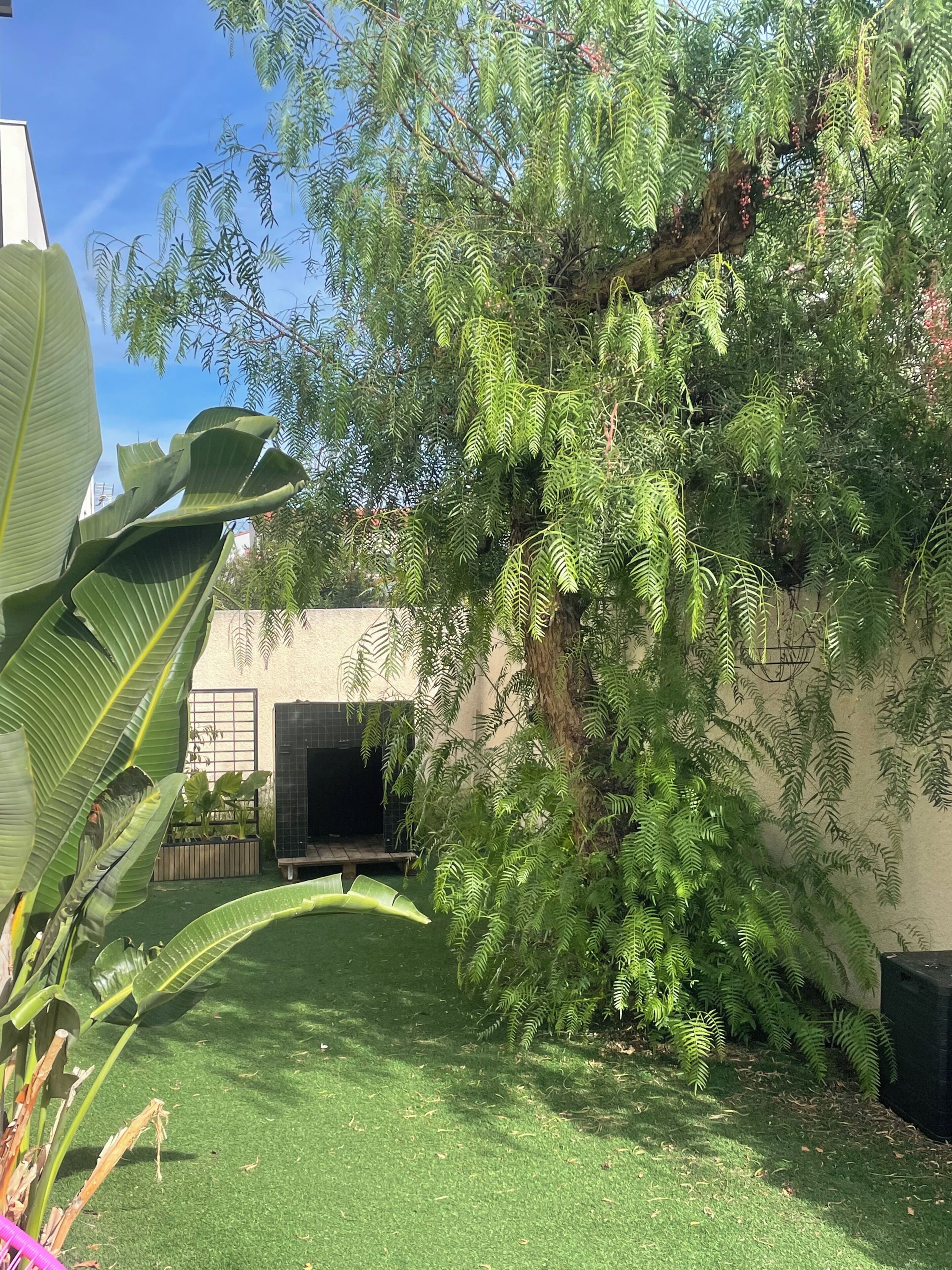 A garden with artificial grass, a tree, and a building with a window.