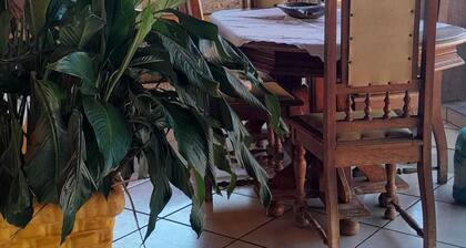 Furnished house, spacious, good structure, varied capacity...